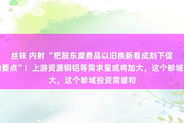 丝袜 内射 “把股东糜费品以旧换新看成刻下促糜费责任的要点”！上游资源铜铝等需求量或将加大，这个畛域投资需缓和